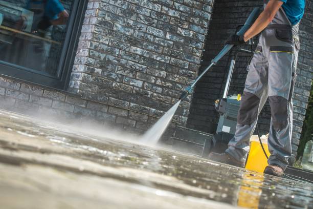 Best Pre-Holiday Cleaning  in Runge, TX