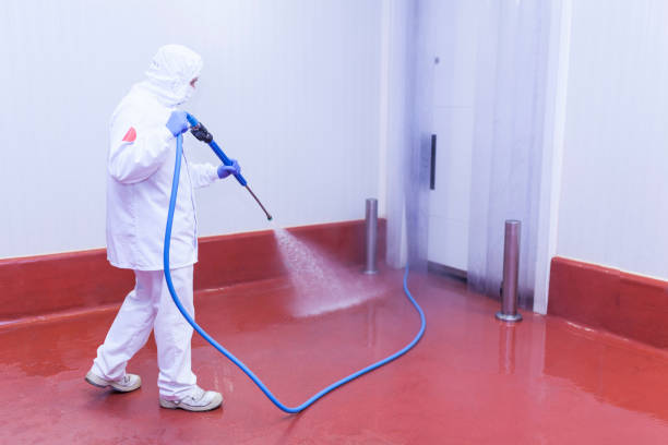 Best Paint Preparation  in Runge, TX
